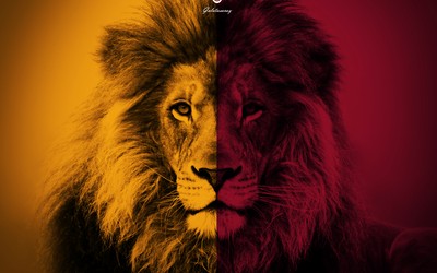 悦盈体育精华-久保建英西甲进球上双创亚洲纪录