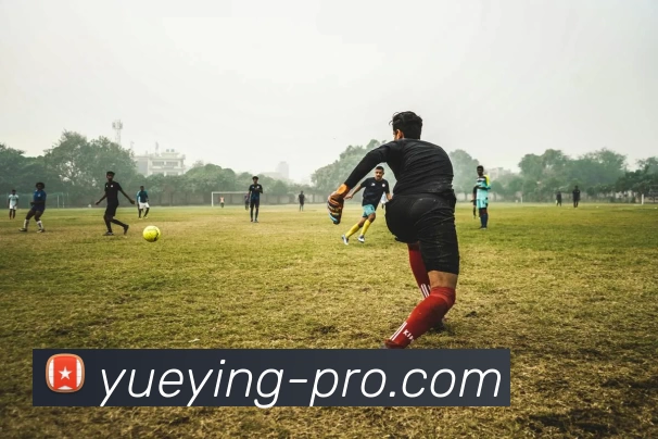 悦盈体育专业版平台生态图